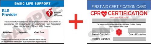 Sample American Heart Association AHA BLS CPR Card Certification and First Aid Certification Card from CPR Certification Los Angeles