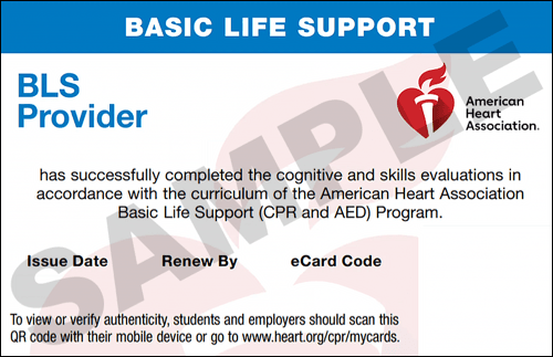 Sample American Heart Association AHA BLS CPR Card Certification from CPR Certification Los Angeles