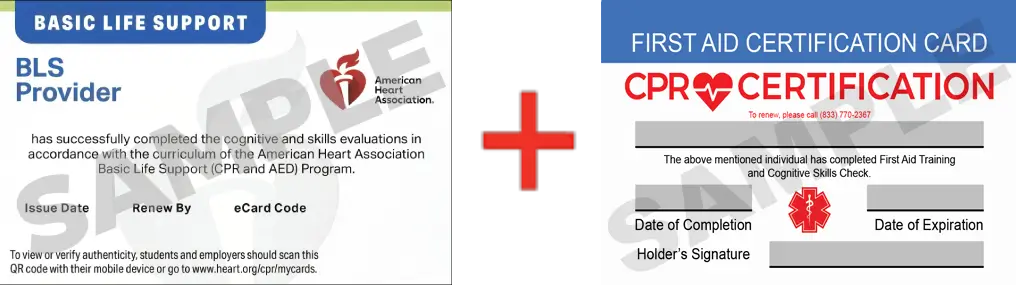 Sample American Heart Association AHA BLS CPR Card Certification and First Aid Certification Card from CPR Certification Los Angeles